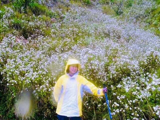 Mount Pulag, Roof of Luzon