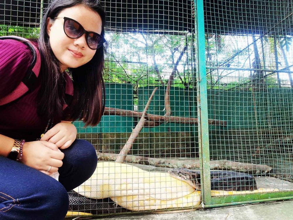 Zoomazing Animal Park