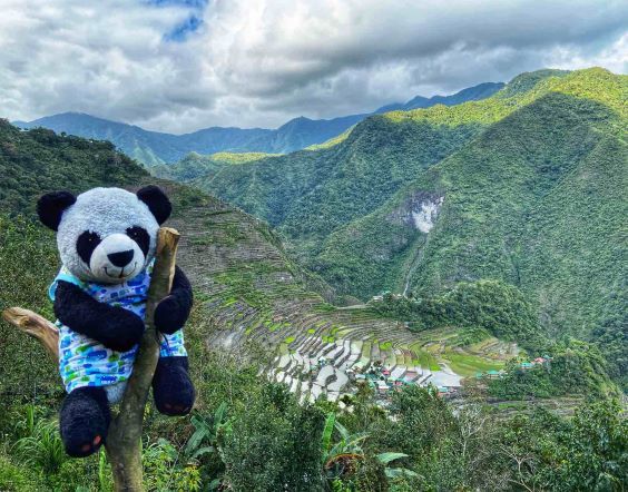 The Banaue Rice Terraces