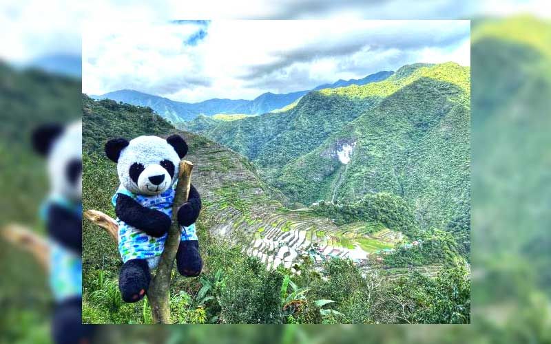 The Banaue Rice Terraces