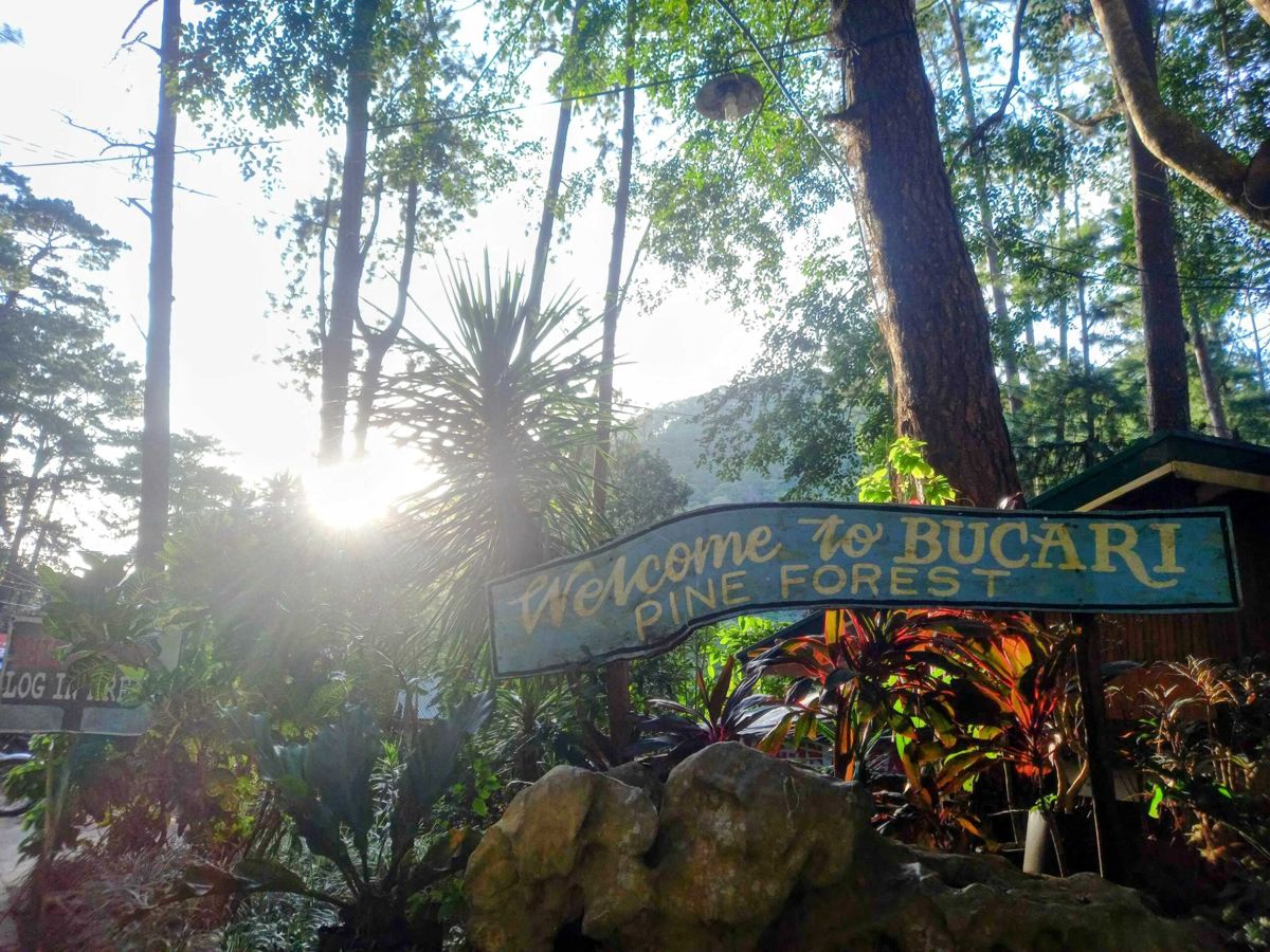 Bucari, the Little Baguio